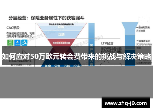 如何应对50万欧元转会费带来的挑战与解决策略