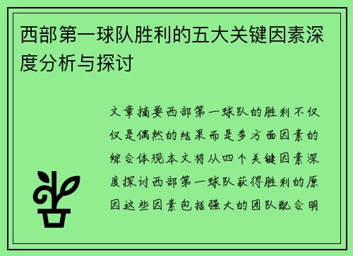 西部第一球队胜利的五大关键因素深度分析与探讨